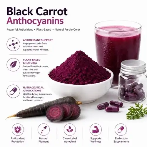What are the benefits of black carrot anthocyanins?